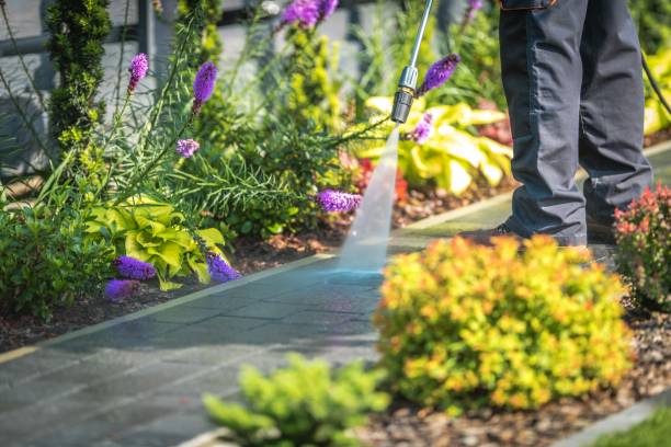 Best Residential Pressure Washing in Baldwinsville, NY